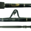 Blackfin Saltwater Strip Tip Fishing Rods