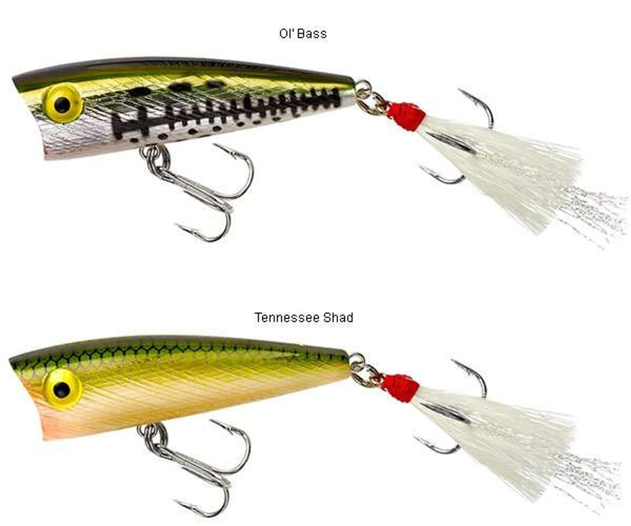 Rebel P50 Teeny Pop-R 2in - Image 4