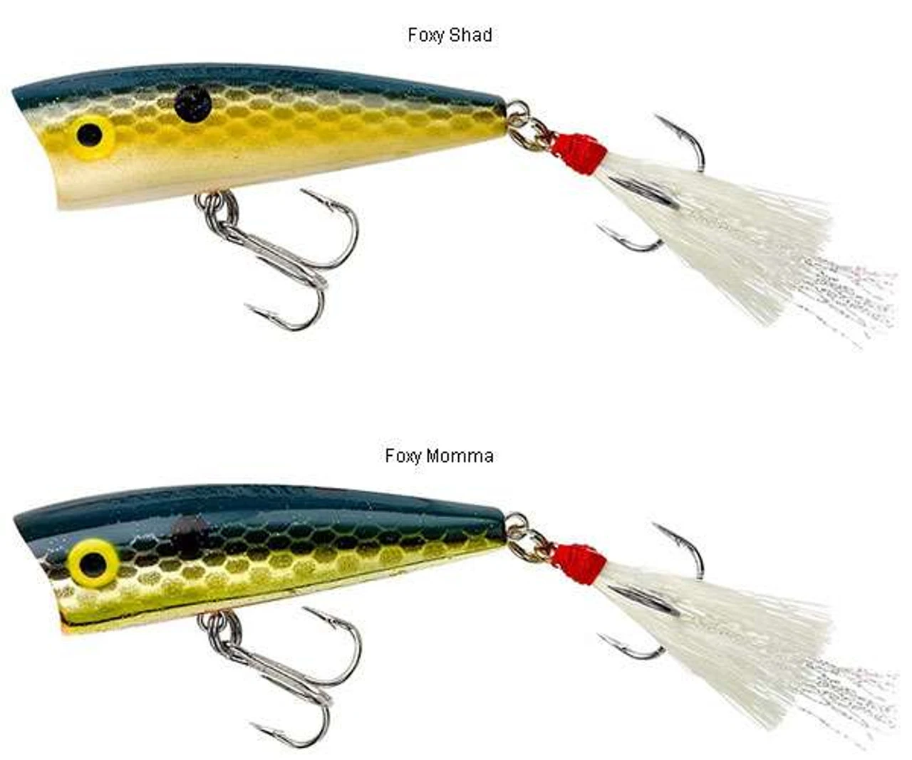 Rebel P50 Teeny Pop-R 2in - Image 6